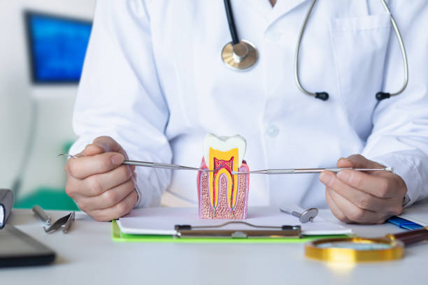 Best Same-Day Emergency Dental Services in Salineville, OH